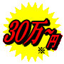 ART-Scopeの価格